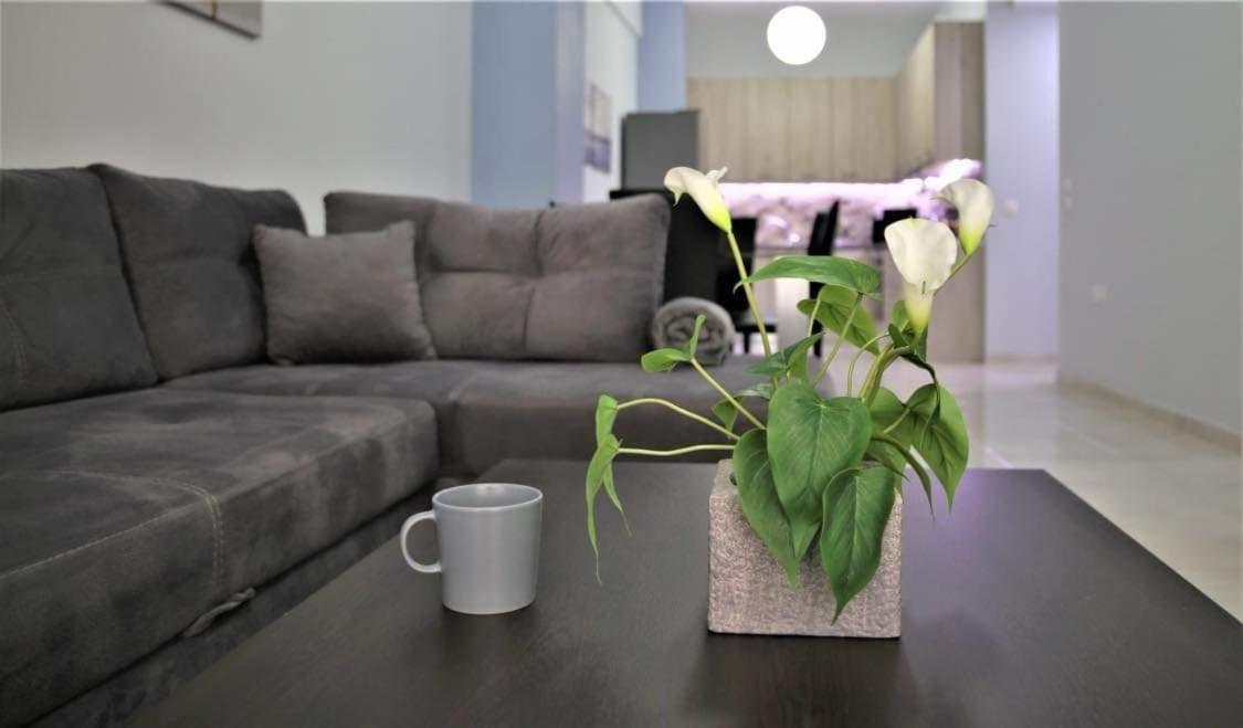 Lovely Apartment In The Center Of Athens. Extérieur photo